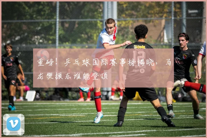 重磅！乒乓球国际赛事榜揭晓，马龙樊振东谁能登顶